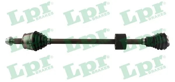 DS52515 LPR
