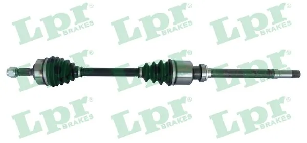 DS38138 LPR