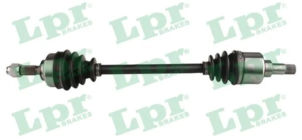 DS16213 LPR