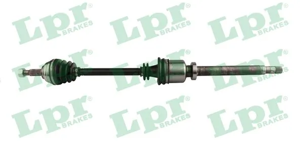 DS52255 LPR