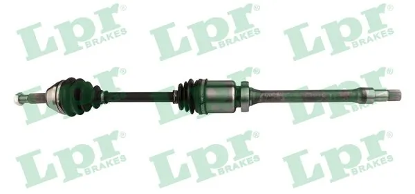 DS60359 LPR