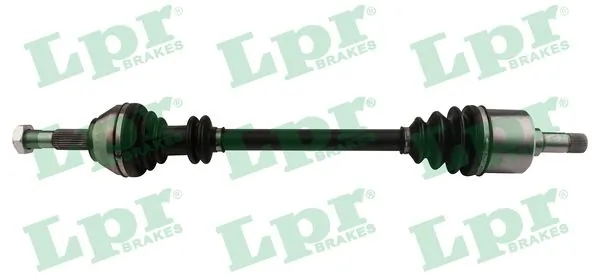 DS20095 LPR