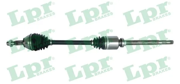 DS20096 LPR
