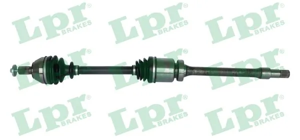 DS60363 LPR