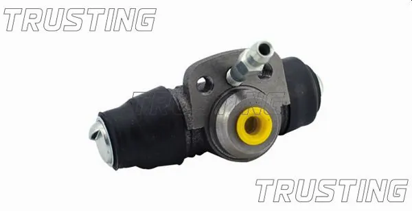 CF001 Trusting
