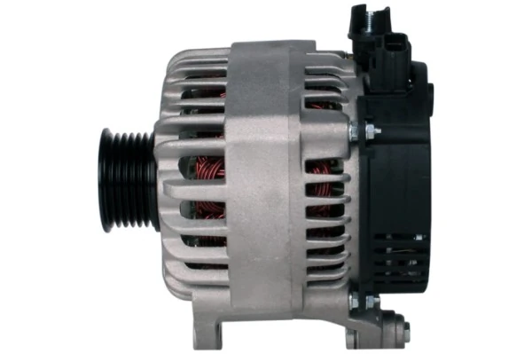 3123198 Case Gerador