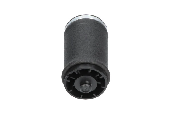 Compre REC10AS0004 Amity AP Coxim pneumático (suspensão de lâminas pneumática) do eixo traseiro