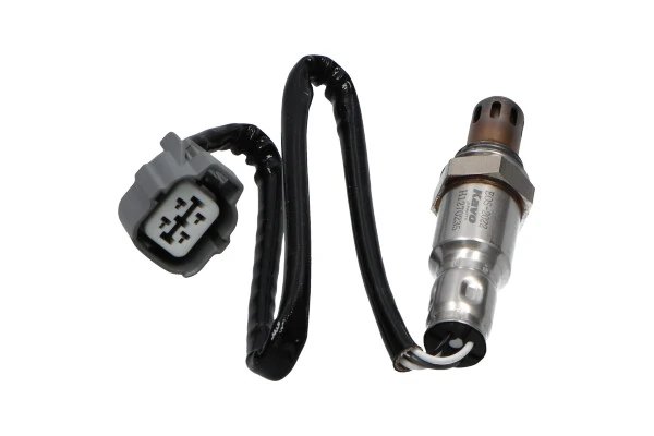 EOS2022 Kavo Parts