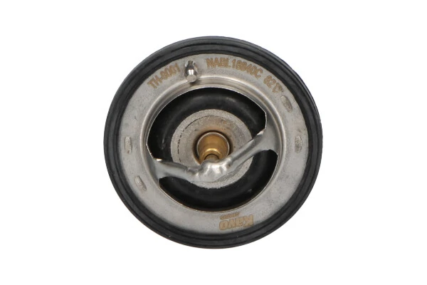 Termostato para Fiat Ducato 244