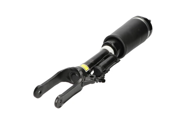 SAS10022 Kavo Parts
