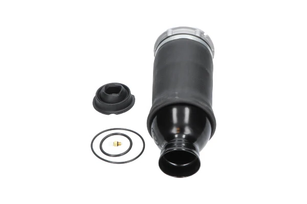 Compre REC60AS0001 Amity AP Coxim pneumático (suspensão de lâminas pneumática) do eixo dianteiro