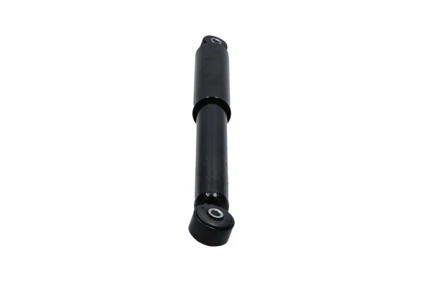 Comprar  Escort  AVL