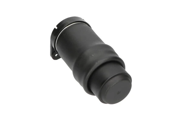 Coxim pneumático (suspensão de lâminas pneumática) do eixo traseiro REC34AS0029 Amity AP
