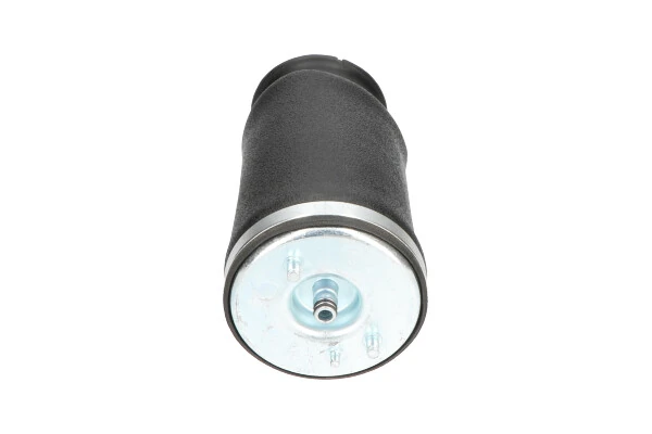 Compre REC10AS0012 Amity AP Coxim pneumático (suspensão de lâminas pneumática) do eixo traseiro