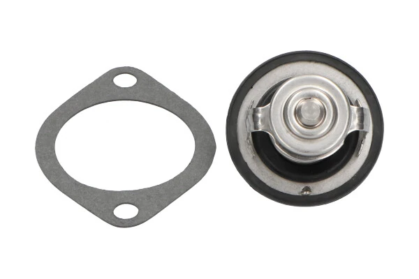  Termostato Nissan Terrano I SUV (WD21) (1986 - 1995) I