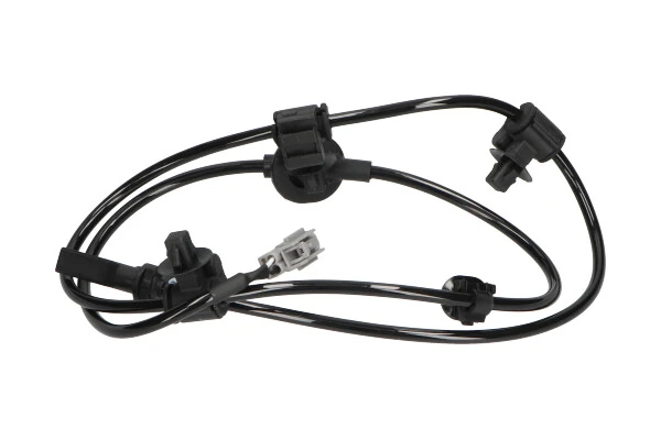 BAS8031 Kavo Parts