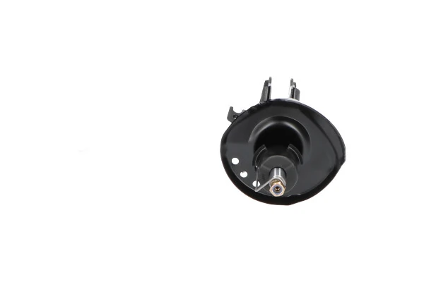 Amortecedor dianteiro direito Kavo Parts SSA10284 preço, a partir de 85,41 USD