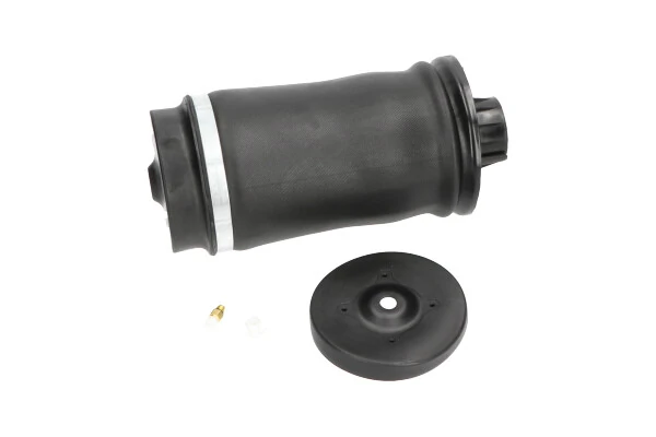 SAS10006 Kavo Parts