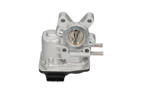 EEG6503 Kavo Parts