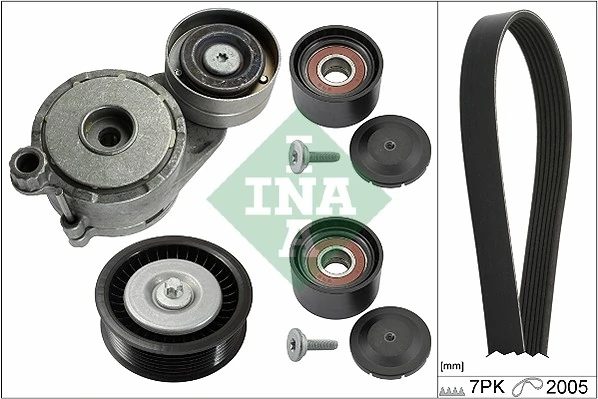 529017110 INA