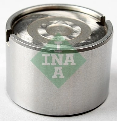 421006010 INA