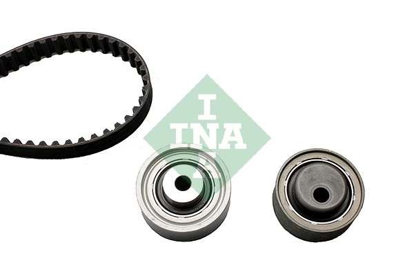 530005010 INA