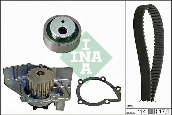 530025830 INA