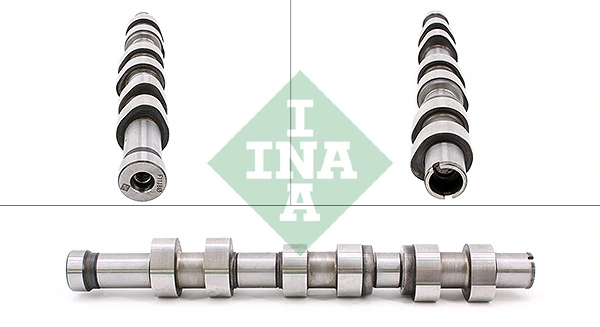 428017110 INA