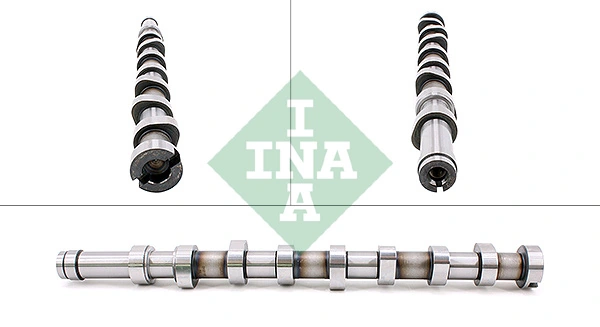 428018310 INA