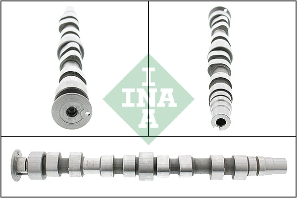 428017410 INA