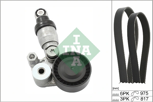529054010 INA