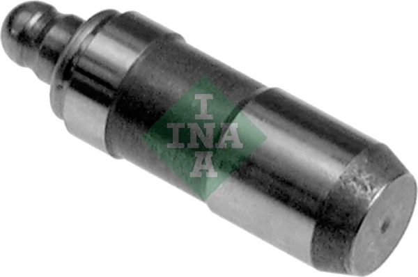 420019810 INA