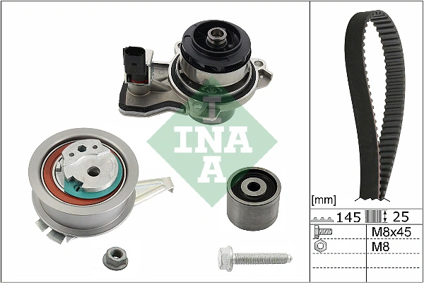 530066530 INA