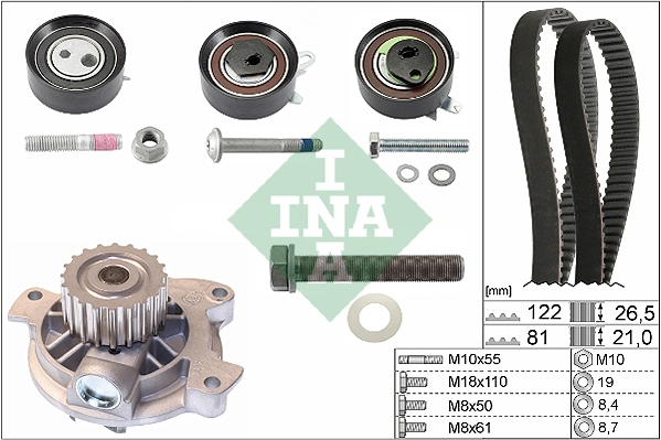 530048430 INA