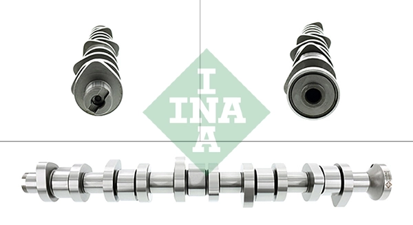 428011110 INA