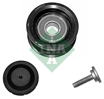 532023310 INA