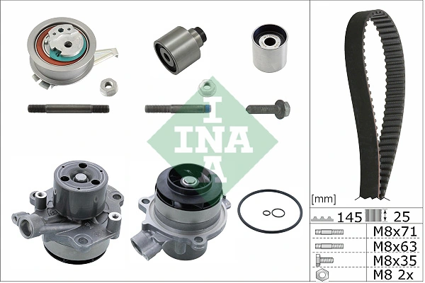 530065032 INA