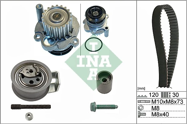530009131 INA