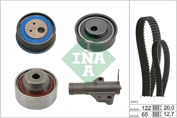 530074110 INA