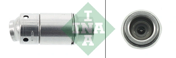 420006310 INA