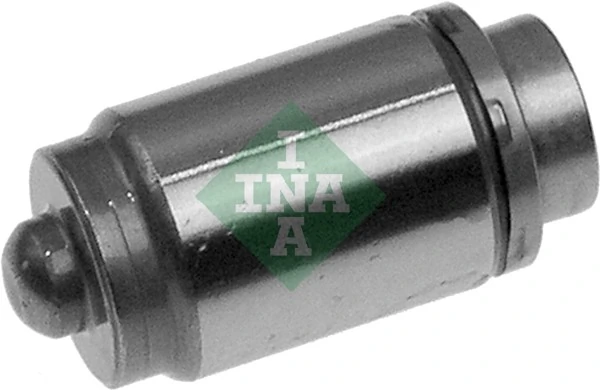 420000310 INA