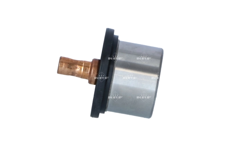 Termostato 7403839110 Renault (RVI)