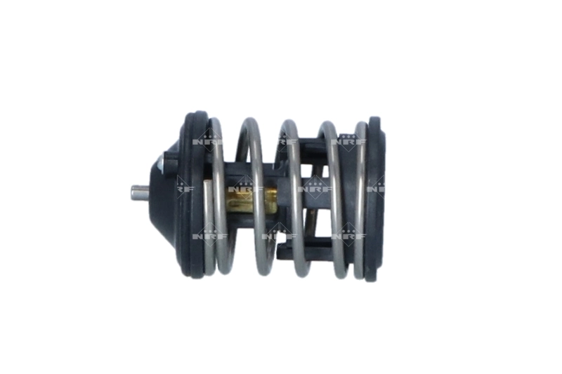  Termostato BMW 1 hatchback (F21) (2011 - 2019) 