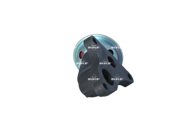 Compre 48638 NRF Válvula EGR de recirculação dos gases