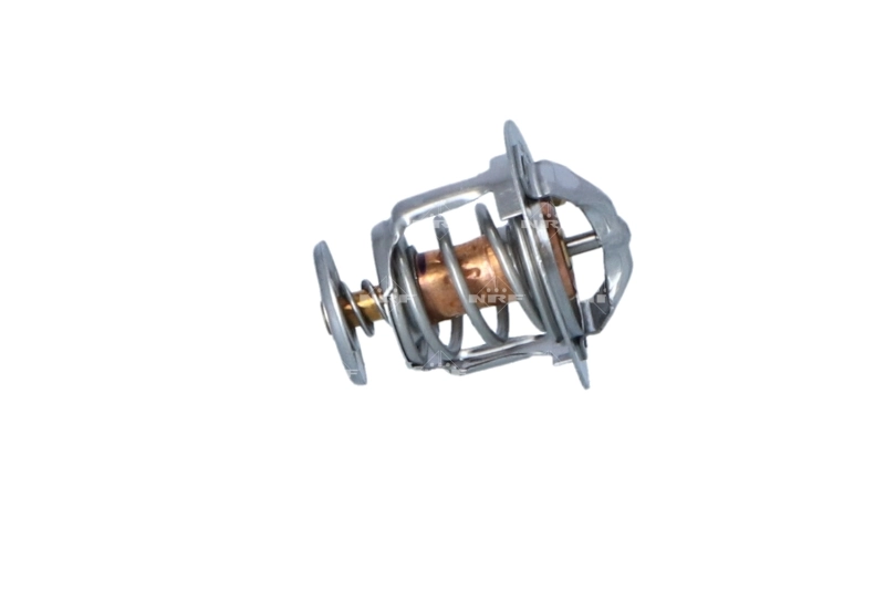Compre 725119 NRF Termostato