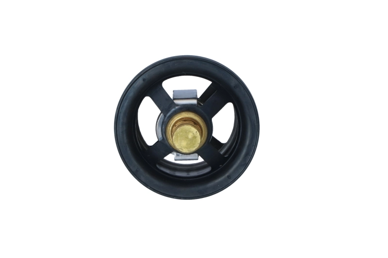 1W5253 Caterpillar Termostato