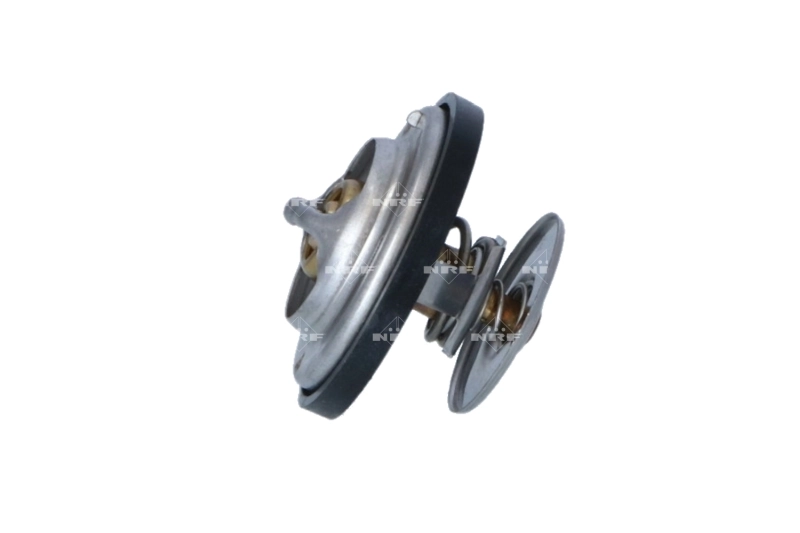 Compre Termostato MAN TGX 1