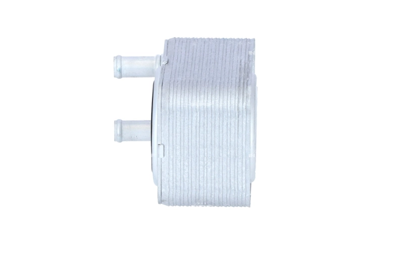 31168 NRF Radiador de óleo (frigorífico), debaixo de filtro