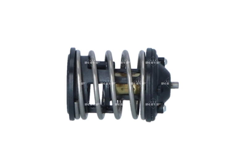 Termostato BMW 1  F21