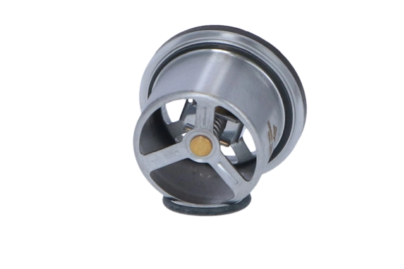 Termostato 5010553100 Renault (RVI)